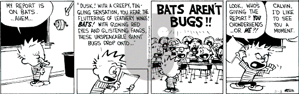 Calvin and Hobbes - Friday November 3, 1989 Comic Strip