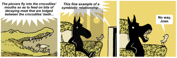 Dark Side of the Horse on Friday August 17, 2012 Comic Strip