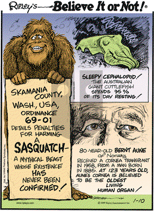 Ripley's Believe It or Not on Saturday January 10, 2009 Comic Strip