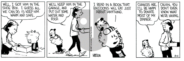 Calvin and Hobbes on Wednesday March 11, 1987 Comic Strip