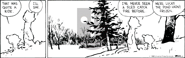 Calvin and Hobbes - Saturday December 1, 1990 Comic Strip
