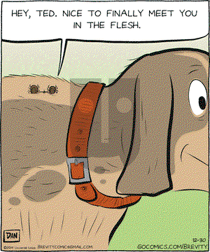 Brevity on Tuesday December 30, 2014 Comic Strip