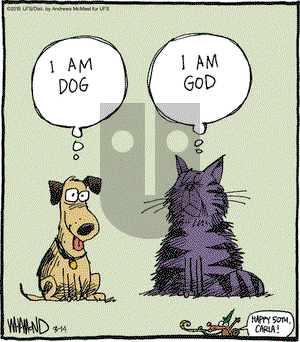 Reality Check on Wednesday March 14, 2018 Comic Strip