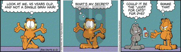 Garfield - Wednesday June 21, 2023 Comic Strip