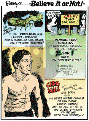 Ripley's Believe It or Not - Tuesday November 10, 2009 Comic Strip