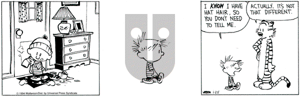 Calvin and Hobbes on Tuesday January 25, 1994 Comic Strip