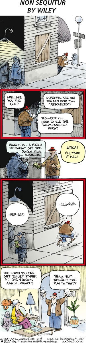Non Sequitur on Sunday April 19, 2020 Comic Strip