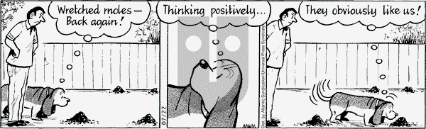 Fred Basset on Wednesday July 22, 2009 Comic Strip