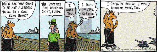 Overboard on Monday July 29, 2019 Comic Strip