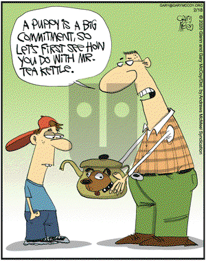 The Flying McCoys on Tuesday February 18, 2020 Comic Strip