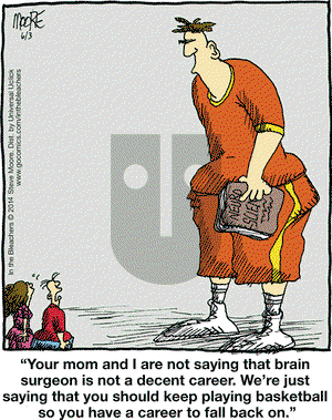 In the Bleachers on Tuesday June 3, 2014 Comic Strip