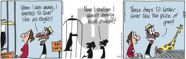 The Knight Life on Friday March 25, 2011 Comic Strip