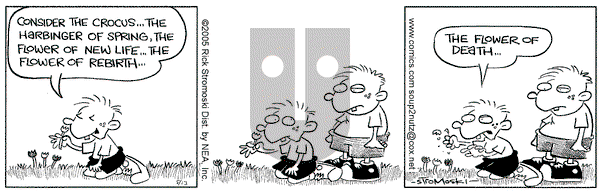 Soup to Nutz - Old on Friday May 13, 2005 Comic Strip