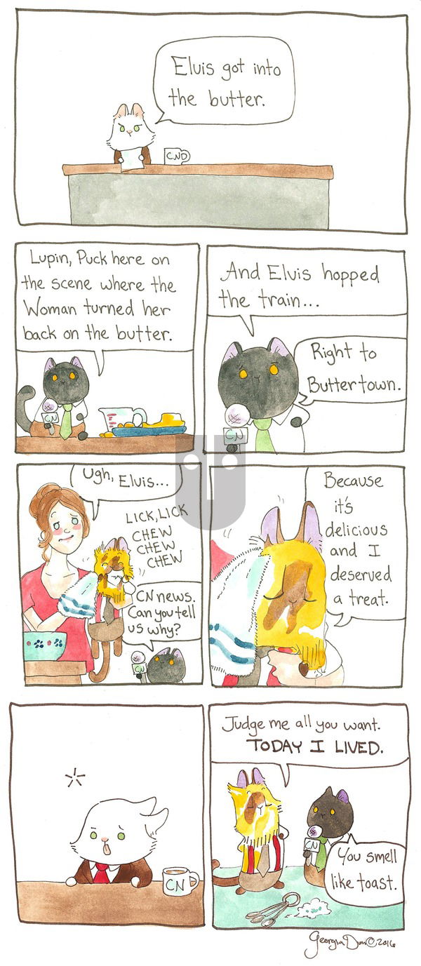 Breaking Cat News on Sunday May 1, 2016 Comic Strip