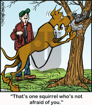 Marmaduke on Friday January 12, 2018 Comic Strip