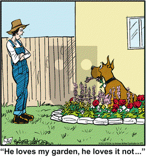 Marmaduke on Thursday January 20, 2022 Comic Strip