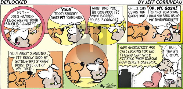 DeFlocked - Sunday February 3, 2019 Comic Strip
