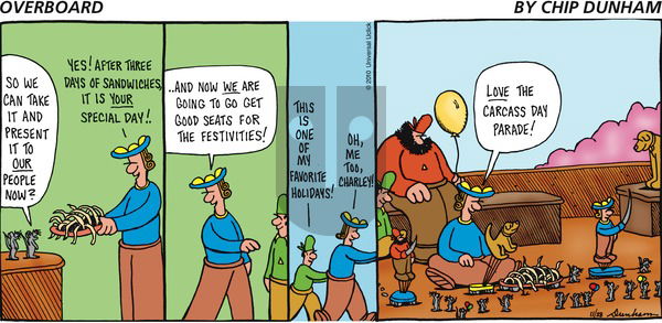 Overboard on Sunday November 28, 2010 Comic Strip