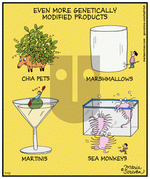 Half Full - Thursday July 10, 2014 Comic Strip
