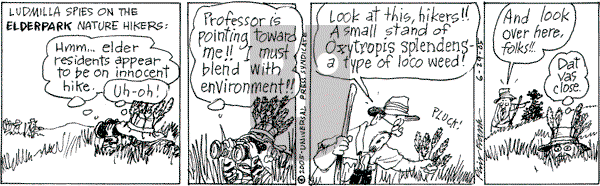 The Elderberries on Wednesday June 29, 2005 Comic Strip