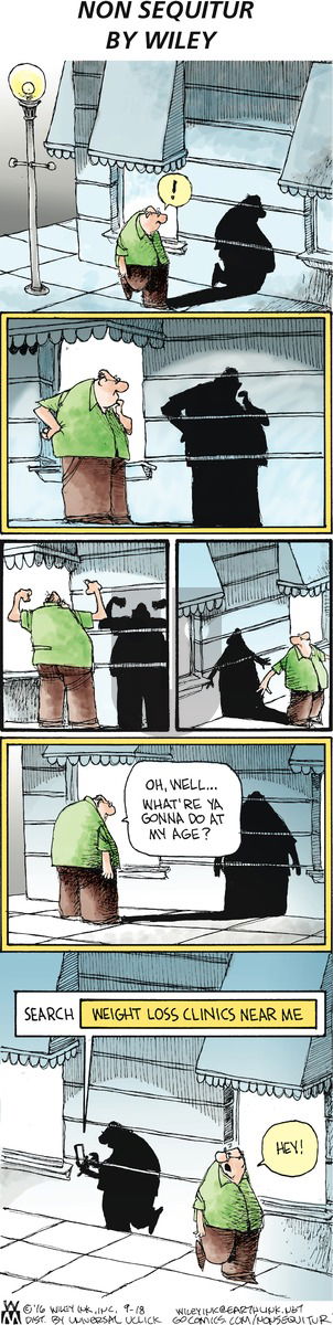 Non Sequitur on Sunday September 18, 2016 Comic Strip