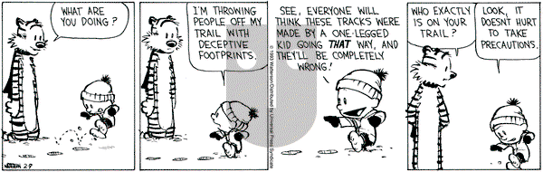 Calvin and Hobbes on Tuesday February 9, 1993 Comic Strip
