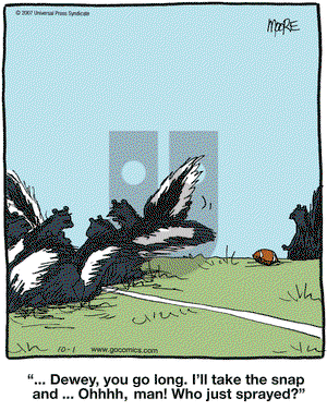 In the Bleachers on Monday October 1, 2007 Comic Strip