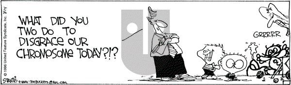 The Buckets on Wednesday July 24, 1996 Comic Strip