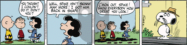 Peanuts - Saturday August 20, 2022 Comic Strip