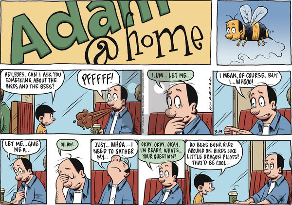 Adam@Home - Sunday March 19, 2017 Comic Strip