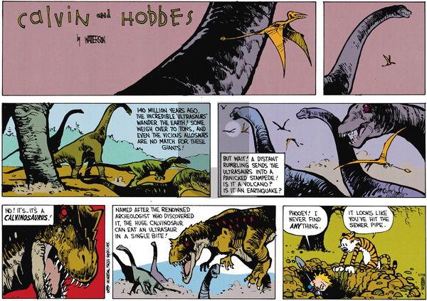 Calvin and Hobbes - Sunday March 4, 1990 Comic Strip