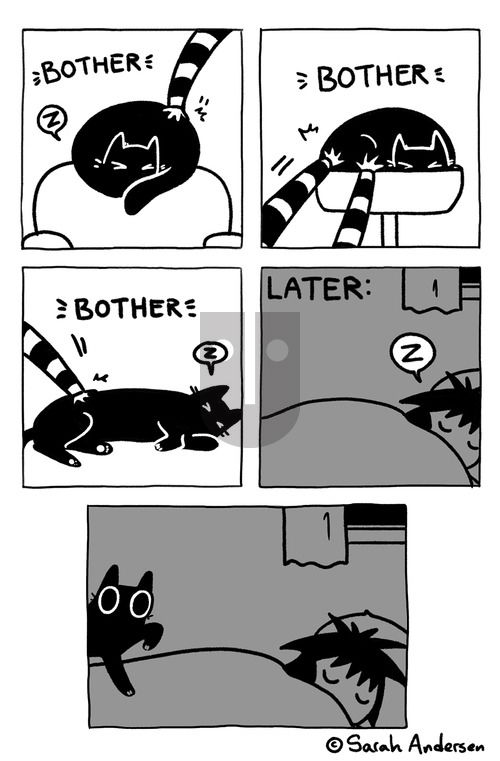 Sarah's Scribbles on Sunday February 3, 2019 Comic Strip