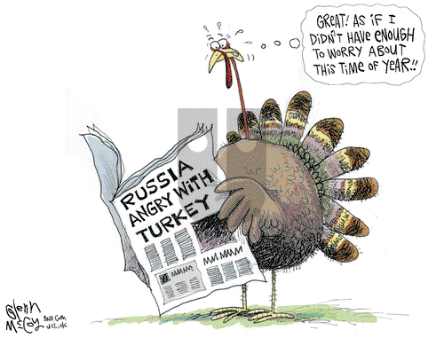 Glenn McCoy on Wednesday November 25, 2015 Comic Strip