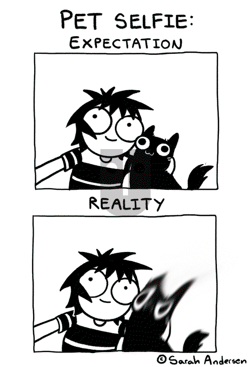 Sarah's Scribbles on Wednesday August 21, 2019 Comic Strip