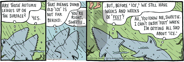 Overboard - Wednesday September 25, 2024 Comic Strip