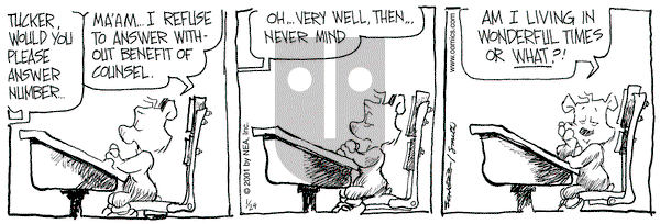 The Grizzwells on Wednesday January 24, 2001 Comic Strip