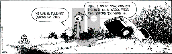 Calvin and Hobbes - Monday May 29, 1989 Comic Strip