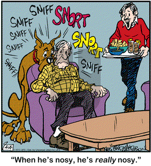 Marmaduke on Thursday April 4, 2013 Comic Strip