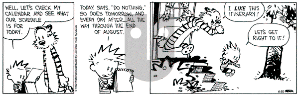 Calvin and Hobbes on Saturday June 20, 1992 Comic Strip