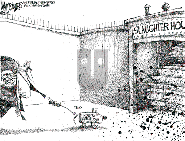 Matt Davies on Thursday April 28, 2011 Comic Strip