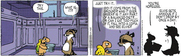 Over the Hedge on Friday July 6, 2012 Comic Strip