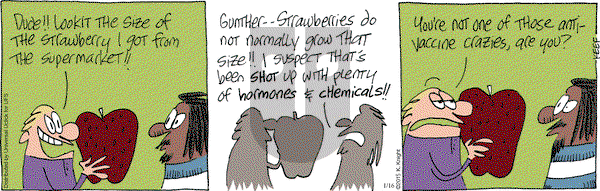 The Knight Life on Friday January 16, 2015 Comic Strip