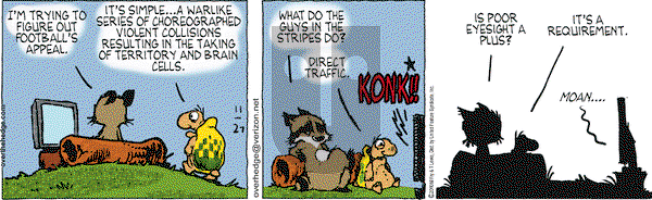 Over the Hedge on Saturday November 27, 2010 Comic Strip