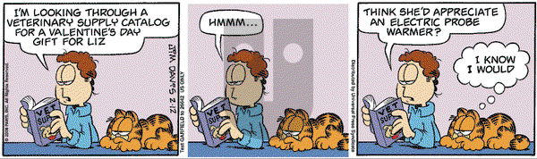 Garfield on Tuesday February 12, 2008 Comic Strip