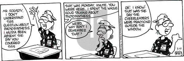 Luann - Tuesday March 17, 1992 Comic Strip