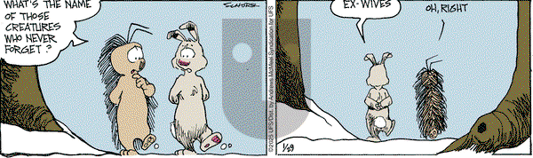 The Grizzwells on Wednesday January 29, 2025 Comic Strip