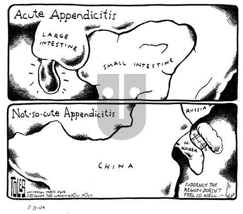 Tom Toles - Sunday May 31, 2009 Comic Strip