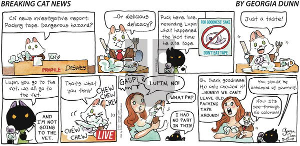 Breaking Cat News on Sunday May 21, 2017 Comic Strip