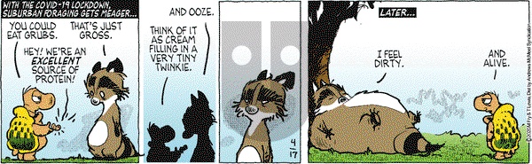 Over the Hedge on Friday April 17, 2020 Comic Strip