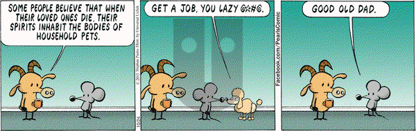 Pearls Before Swine on Saturday October 24, 2015 Comic Strip